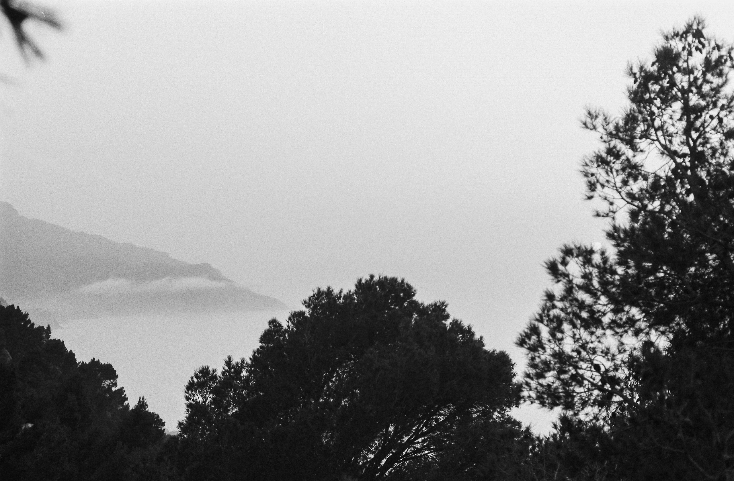 Aldiaz 080 (FP4) 26.jpg