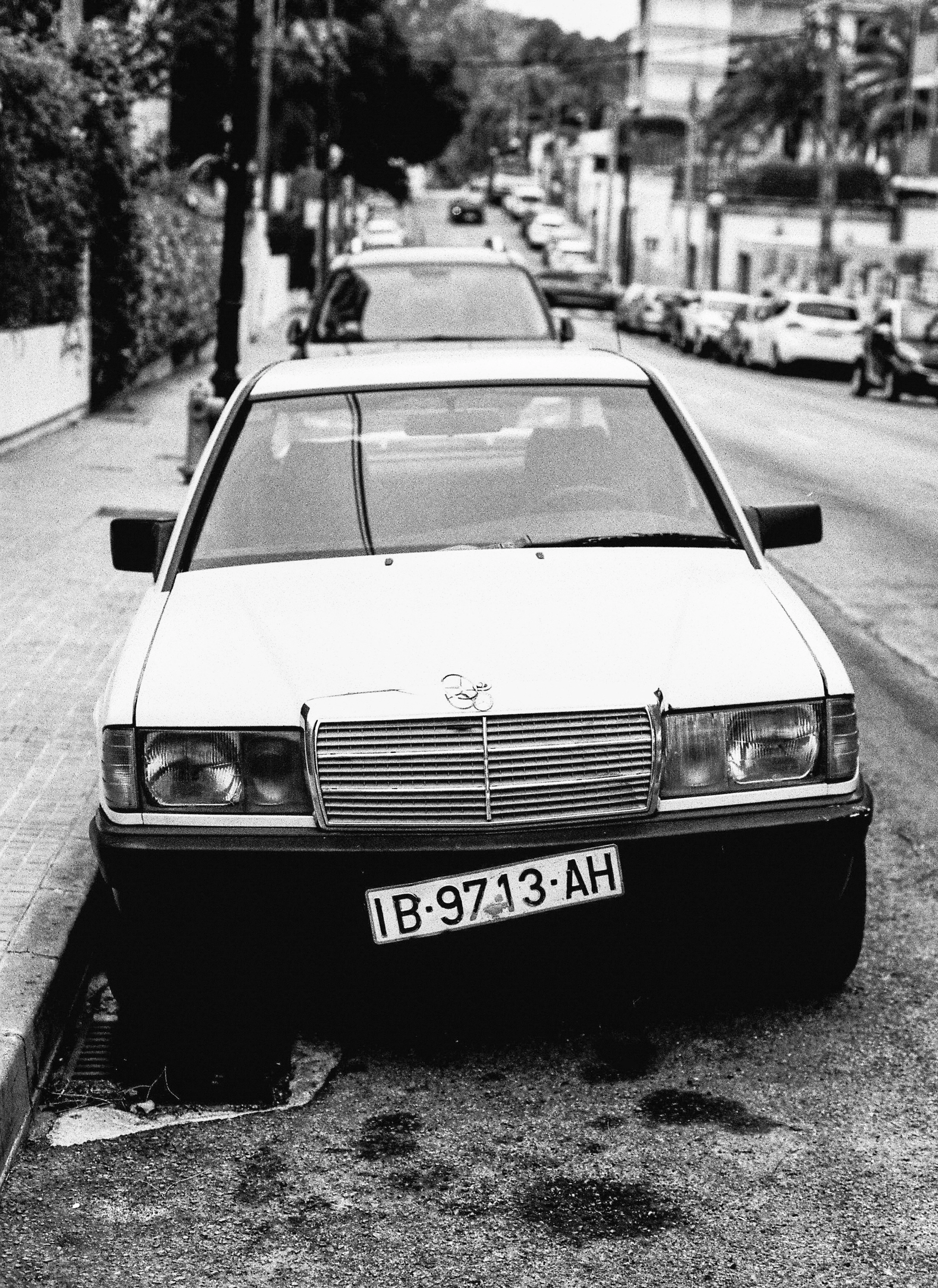 Aldiaz 064 (Rollei Infrared) 17.jpg