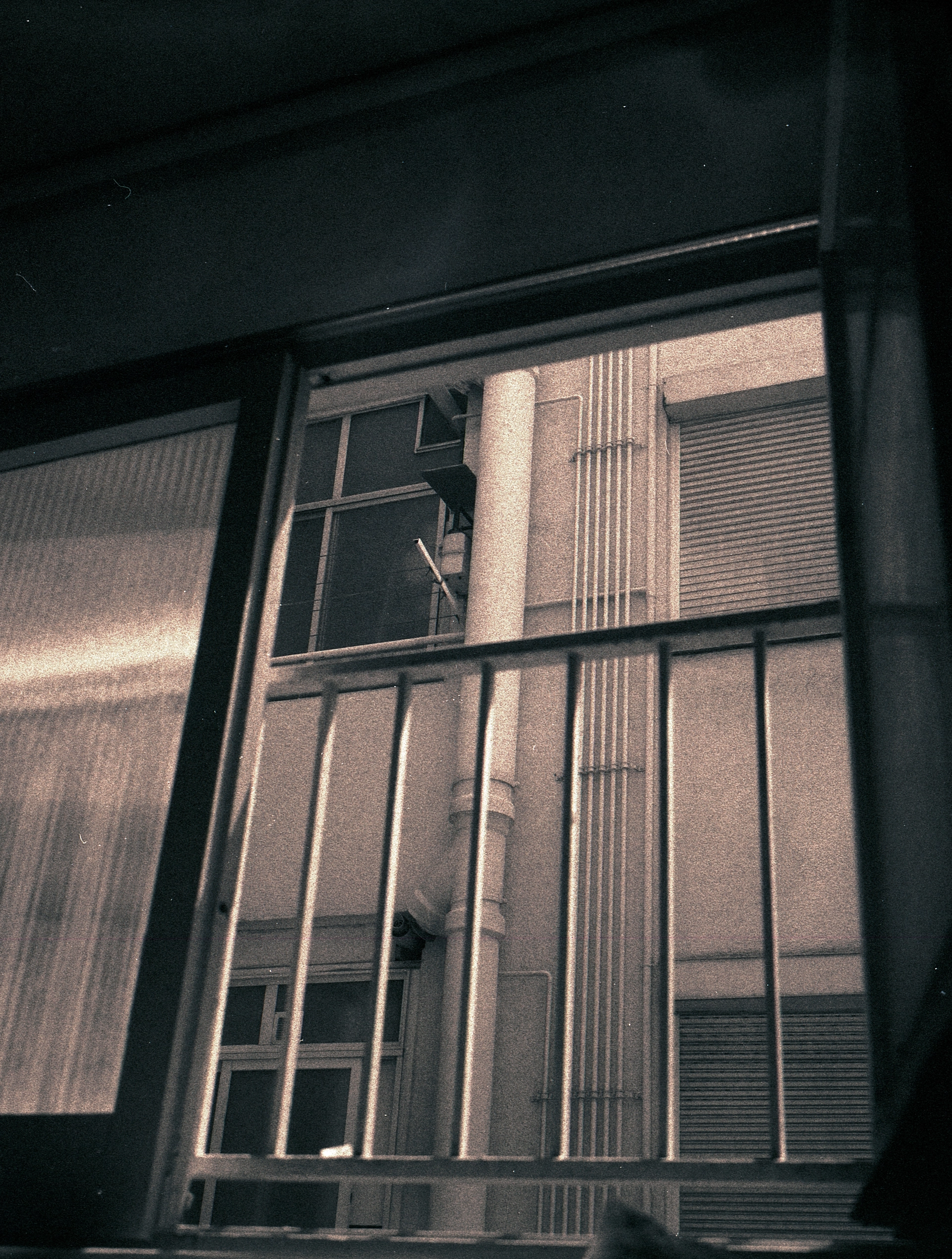 ALDIAZ 123 (foma400)_1.jpg